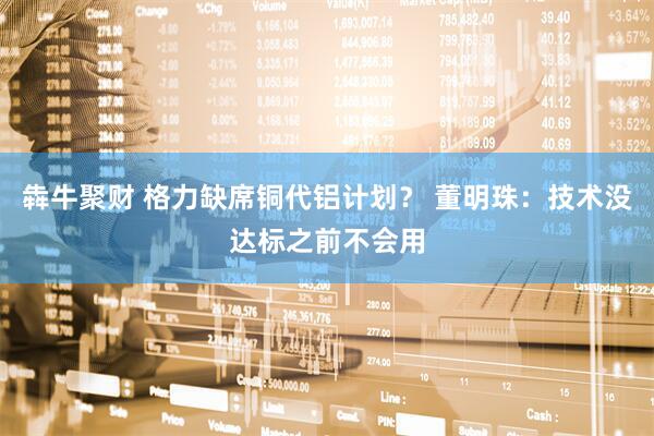 犇牛聚财 格力缺席铜代铝计划？ 董明珠：技术没达标之前不会用