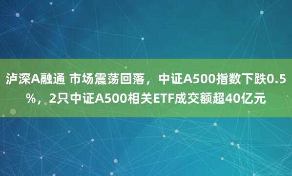 泸深A融通 市场震荡回落，中证A500指数下跌0.5%，2只中证A500相关ETF成交额超40亿元